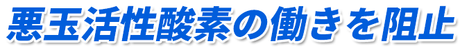 悪玉活性酸素の働きを阻止