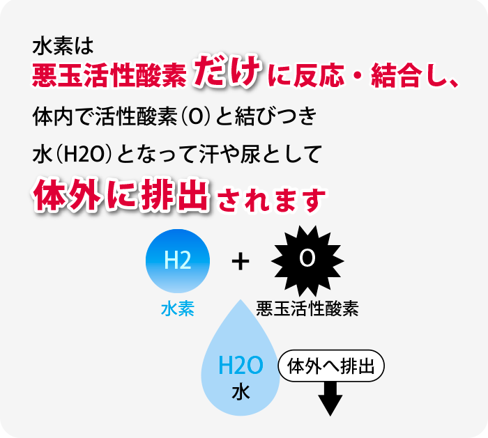 水素は悪玉活性酸素だけに反応・結合します