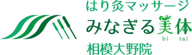 みなぎる美体 相模大野院
