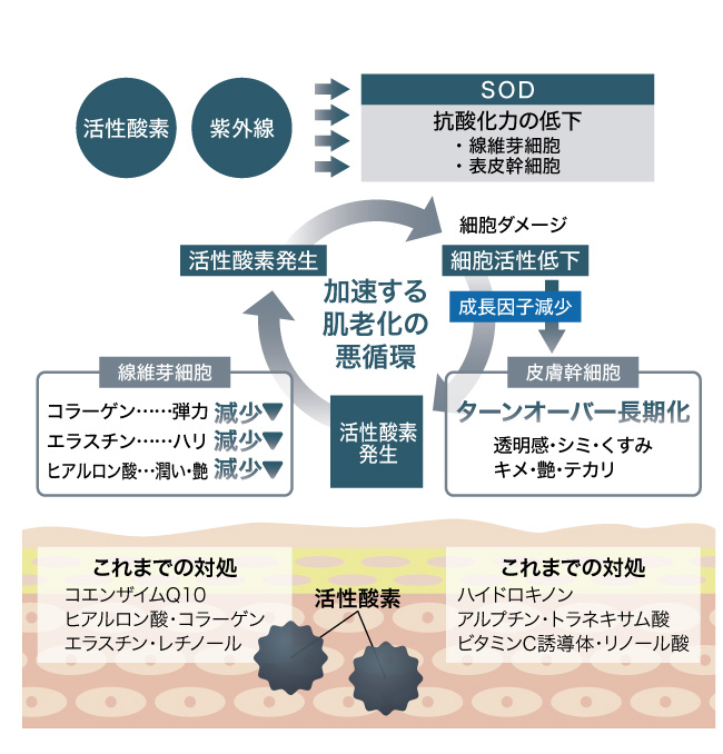 これまでの対処