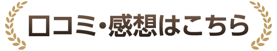 口コミ・感想はこちら